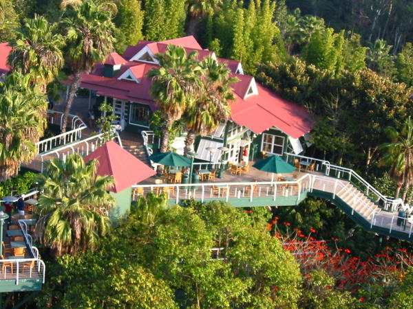 The "Tree House" (restaurant)