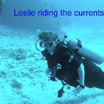 diving les riding the current