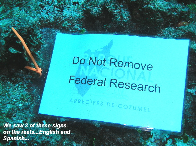 diving research sign