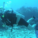 diving troy1