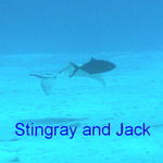 fish stingray and jack