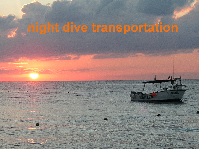 night dive transportation
