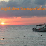 night dive transportation