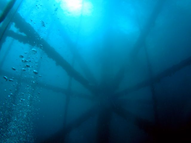 Oil Rig diving!!!  I see the attraction!