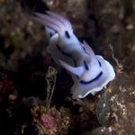 Dec7D1NudiRetreat018.jpg