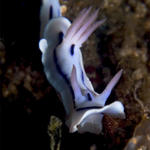 Dec7D1NudiRetreat016.jpg