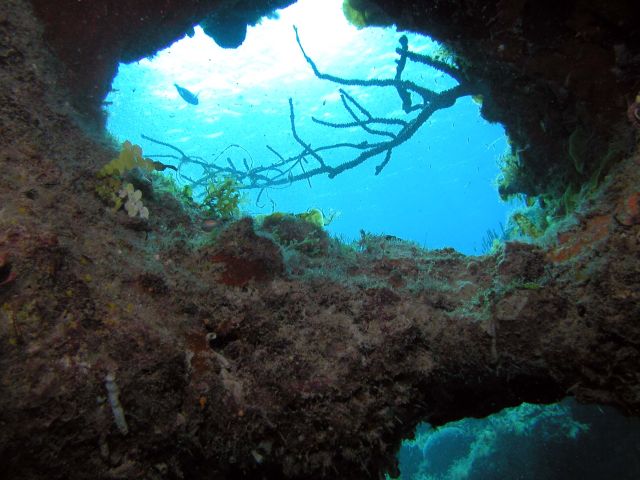 The view from inside a swim-through