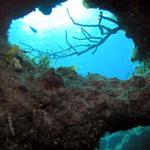 The view from inside a swim-through