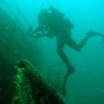 D2D divers explore one of the fine wrecks