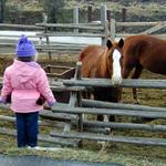 Allison-&-Horses-BW-GMT-W