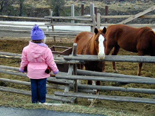 Allison-&-Horses-BW-GMT-W