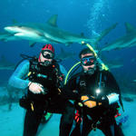 Stuart Cove's Shark Dive