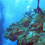 Diving West Side of Grand Cayman w/ Dive Tech 1-5-04