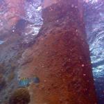 The stern of the wreck