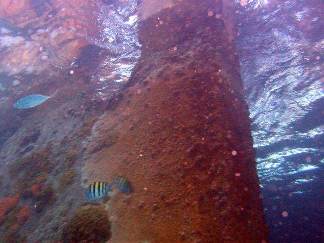 The stern of the wreck