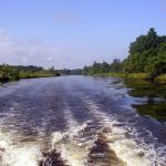 Going down the Cooper River