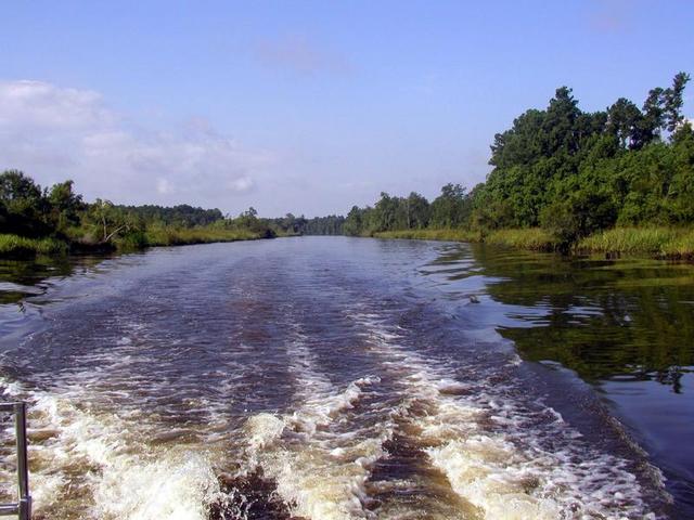 Going down the Cooper River