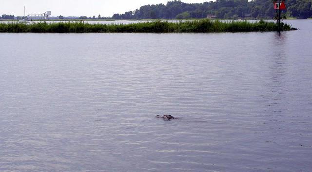 The river has its guardians