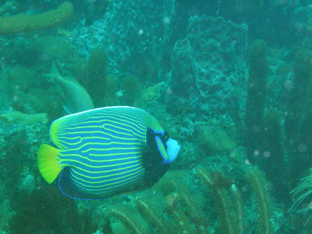 Pompano Beach Labor Day Weekend 2003 Part I visitor.jpg