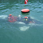 shark at indian point at table rock lake dan robert JP in water