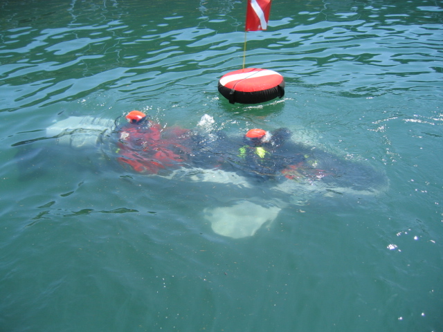 shark at indian point at table rock lake dan robert JP in water