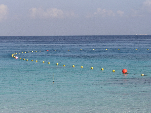 watch the bouys at el pres to see 
which way the current is running