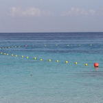 watch the bouys at el pres to see 
which way the current is running
