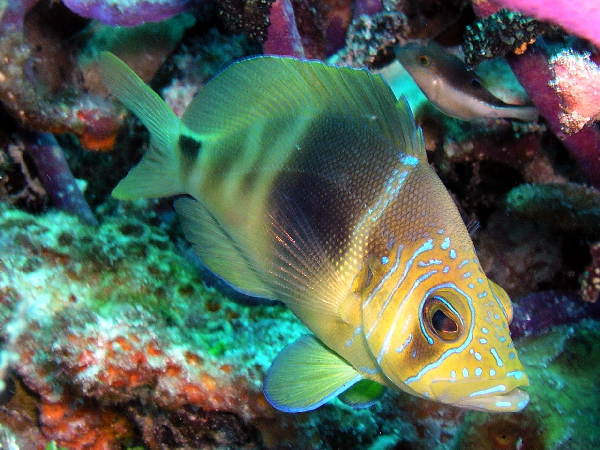 my favorite photo this trip
barred hamlet