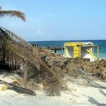 what's left of the paradise cafe
on the other side of cozumel
Hurricane Emily hit that side
very hard