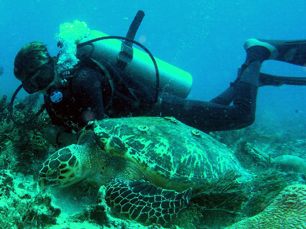 giovanni with turtle