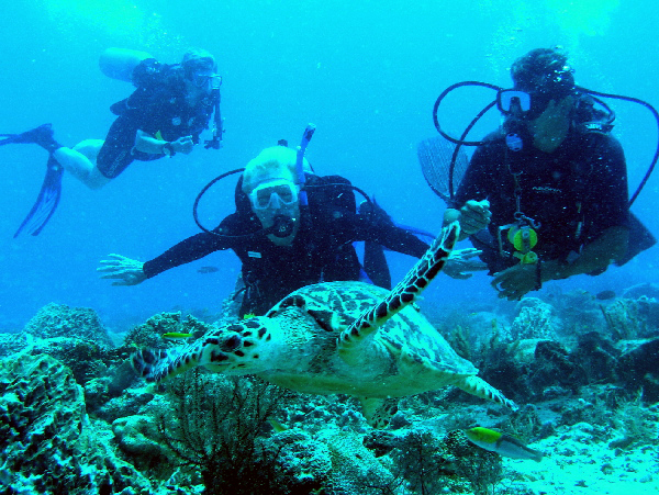 denise, troy, giovanni
watching turtle