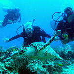 denise, troy, giovanni
watching turtle