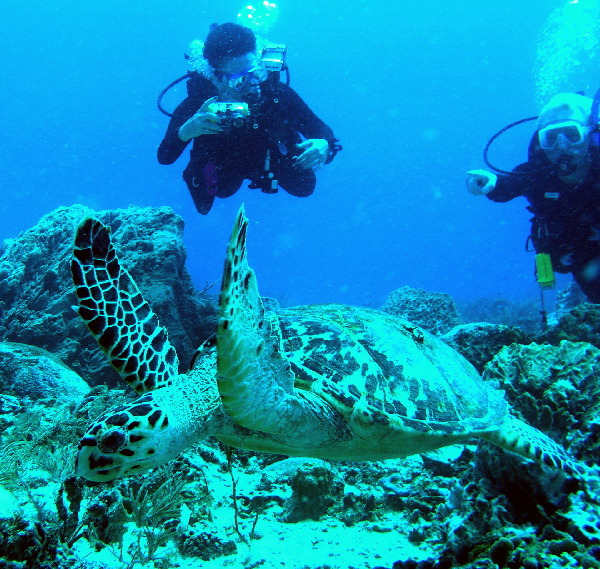 troy showing madeline a turtle