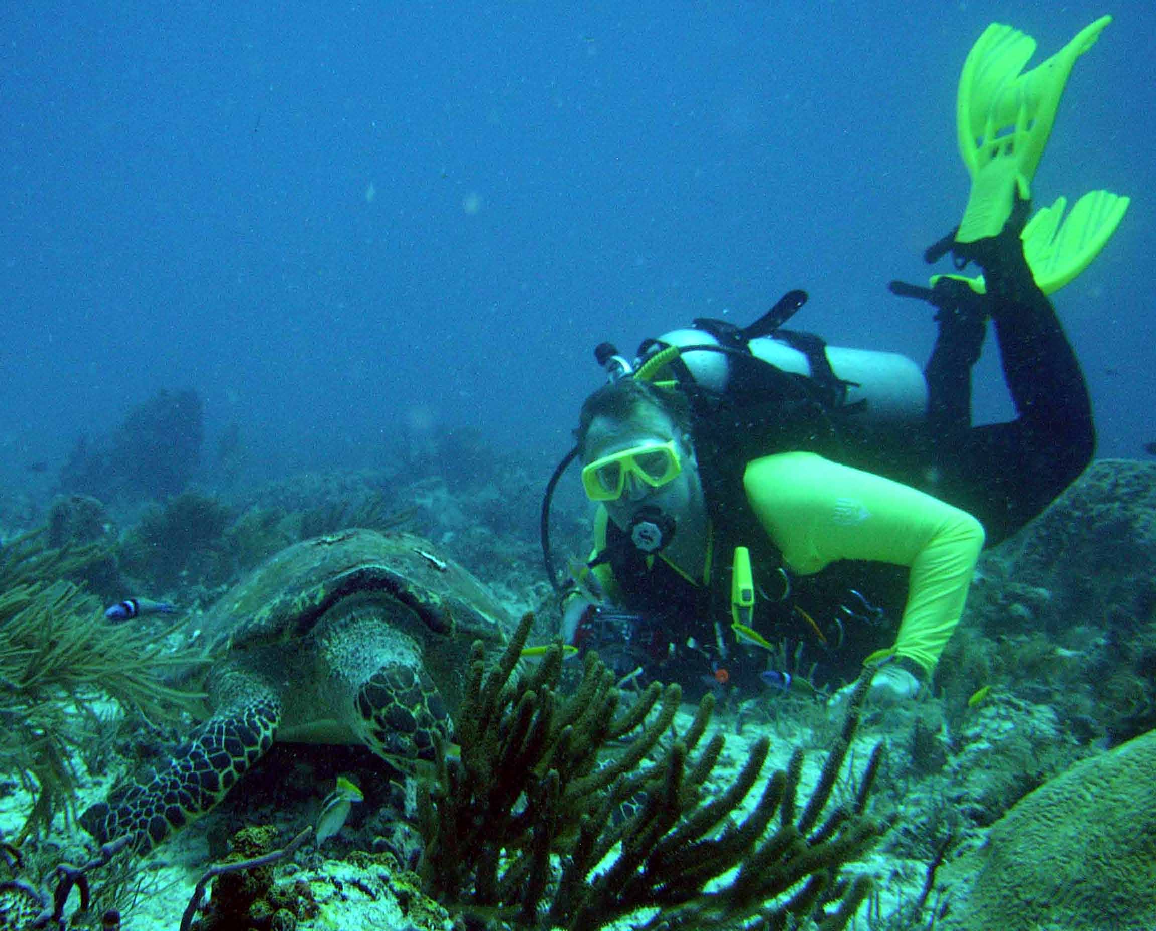 Scott with turtle
aka newdiver48
take by madeline