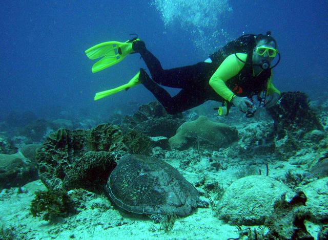 Scott with turtle
aka newdiver48
take by madeline 
