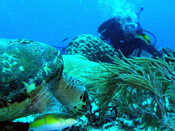 troy with fish