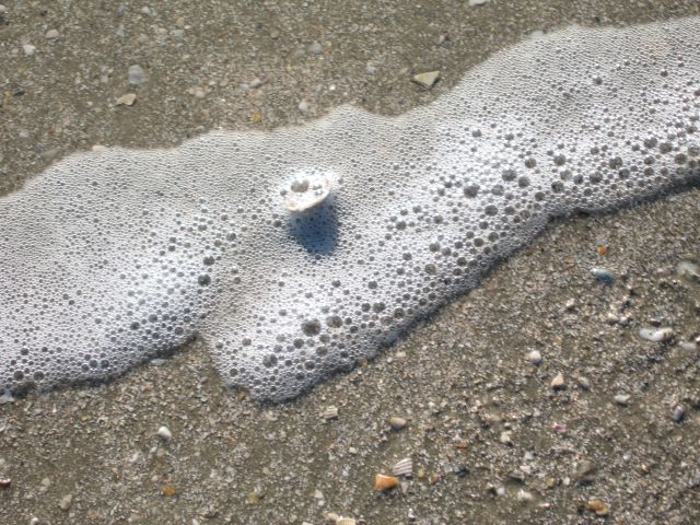 sea foam