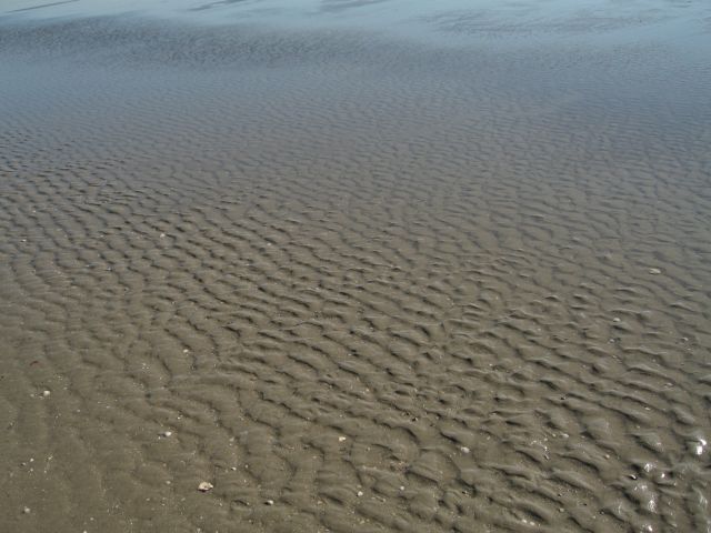 ripples