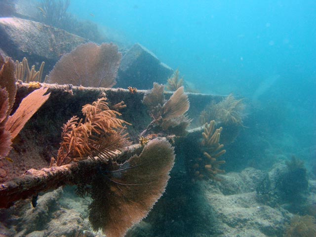 Wreckage of the HMS Looe