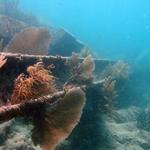 Wreckage of the HMS Looe