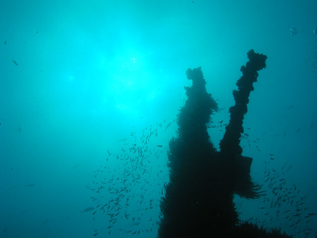 Adolphus Towering into the Sun