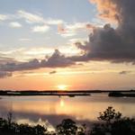 Sunset over the Mangroves