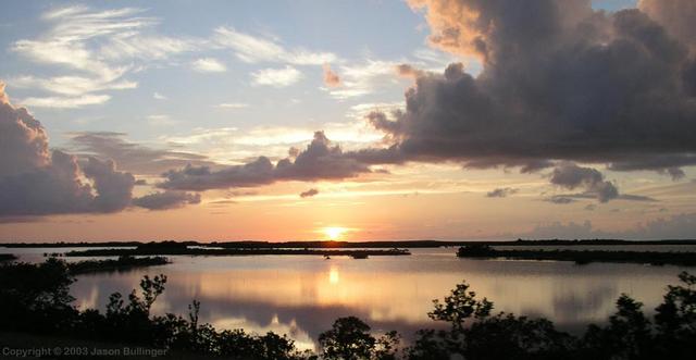 Sunset over the Mangroves
