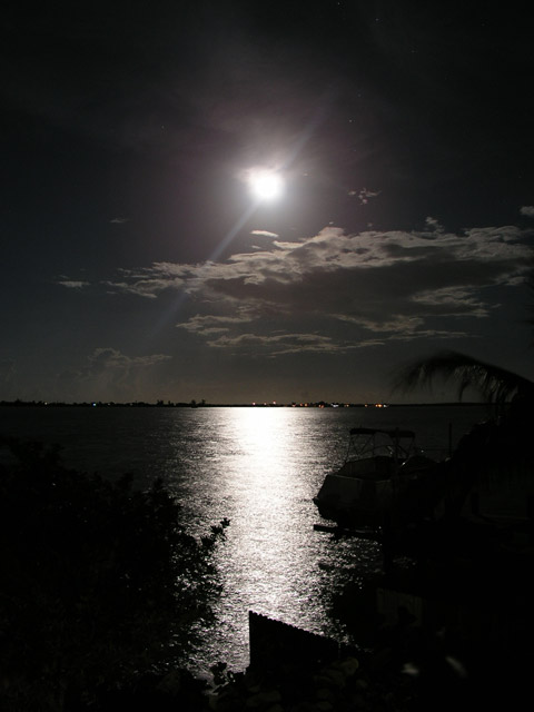 The Moon Behind the House