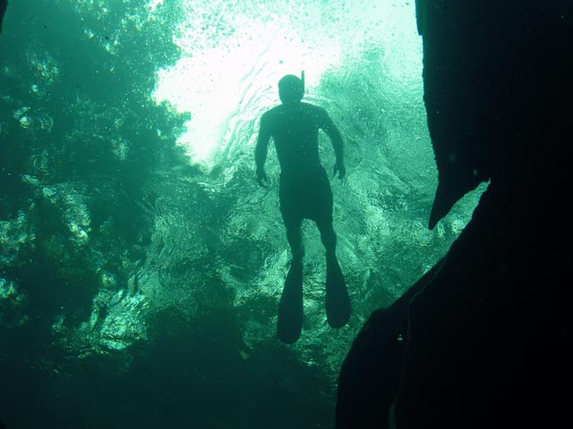 Snorkeler