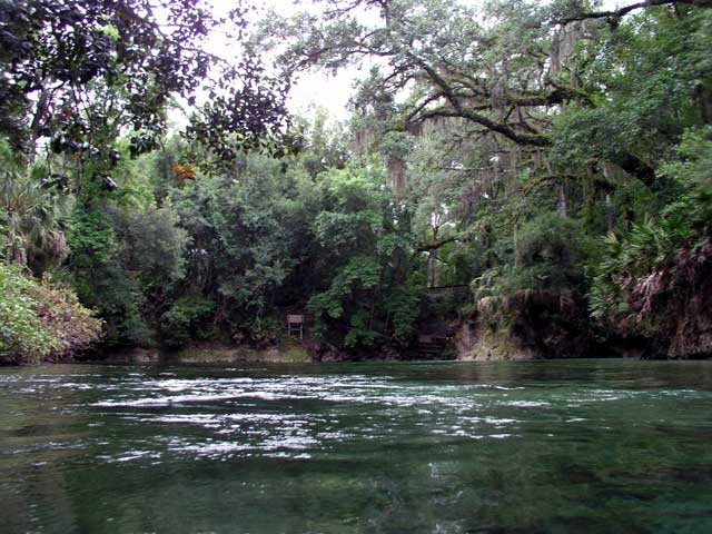 The Dive Site