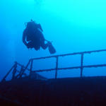 West Palm Diving