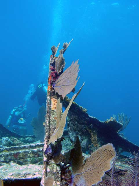 City of Washington Wreck