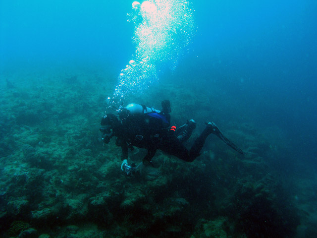 Matt Swimmin' Along