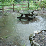 Flooding in W. NC